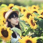 Bộ Ảnh Đẹp Trên Đồng Hoa Hướng Dương