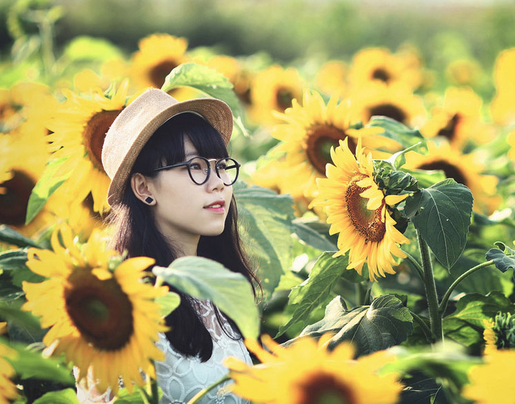 Bộ Ảnh Đẹp Trên Đồng Hoa Hướng Dương