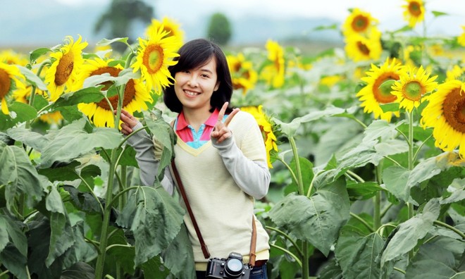 Bộ Ảnh Đẹp Trên Đồng Hoa Hướng Dương