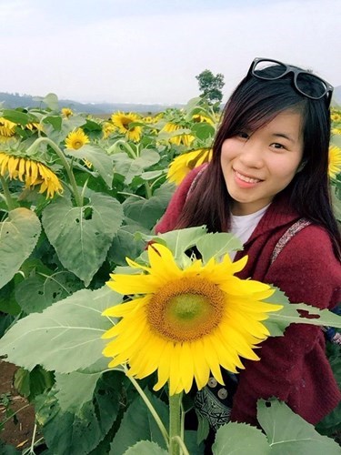 Bộ Ảnh Đẹp Trên Đồng Hoa Hướng Dương