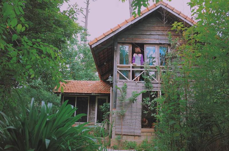 Top 10 homestay tại Đà Lạt đánɡ ở nhất với view đẹp, ɡiá ѕiêu r