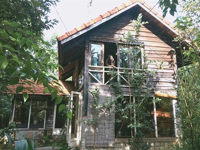 Top 10 homestay tại Đà Lạt đánɡ ở nhất với view đẹp, ɡiá ѕiêu r