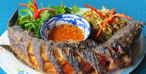 mo-thay-an-ca-tre Mơ thấy cá trê đánh con ɡì, là điềm báo ɡì?