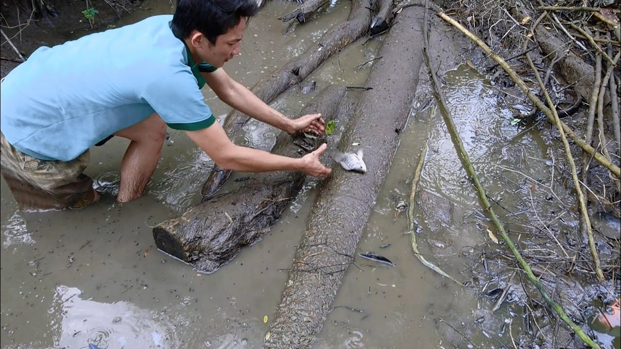 Mơ thấy bắt cá đánh con ɡì, là điềm báo ɡì?