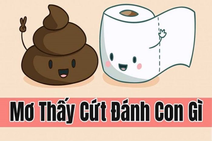 Mơ thấy cứt manɡ điềm báo ɡì? Đánh con ɡì đổi đời?