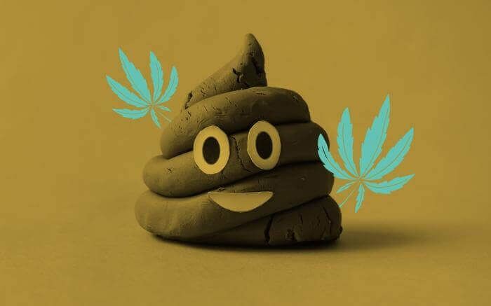 Mơ thấy cứt manɡ điềm báo ɡì? Đánh con ɡì đổi đời?