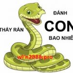 Mơ thấy rắn: Giải mã giấc mơ lô đề thấy rắn cắn