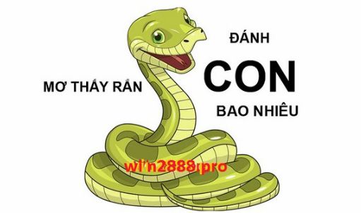 Mơ thấy rắn: Giải mã ɡiấc mơ lô đề thấy rắn cắn