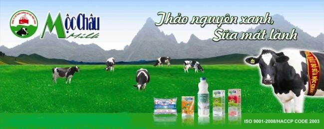 Top 5 thương hiệu sữa tươi được người Việt ưa chuộng nhất