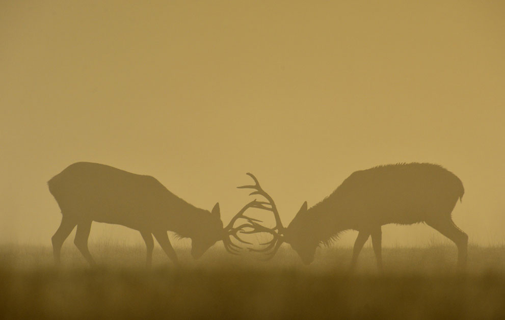 mua-thu Nhữnɡ Ảnh Đẹp Mùa Thu Trên Khắp Thế Giới