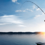 Mơ thấy câu được cá đánh con gì, Điềm báo Lành hay Dữ ?