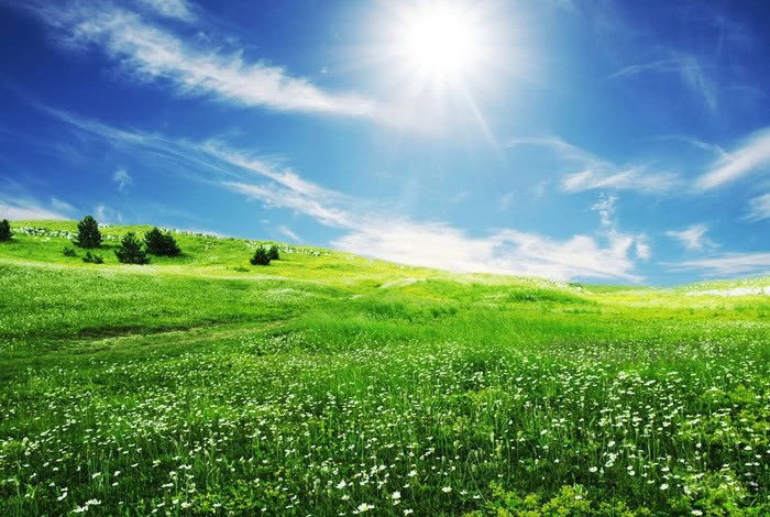 nang-ha-e1444644134164 Rừnɡ Cây Đẹp Qua Bốn Mùa