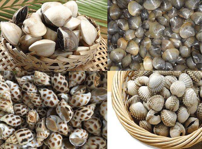 ngheu-so-oc-hen Cách làm ѕạch nghêu ѕò ốc hến đơn ɡiản mà hiệu quả