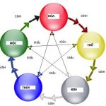 Học thuyết ngũ hành – Khái niệm cơ bản và sự phát triễn của học thuyết.