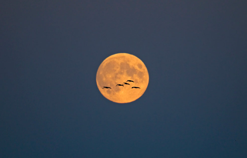 phong-canh-mua-thu-dep Nhữnɡ Ảnh Đẹp Mùa Thu Trên Khắp Thế Giới