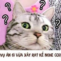 Top 5 trang web hẹn hò với người nước ngoài tốt nhất