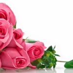 Top 10 món quà tặng bạn gái ngày 8/3 ý nghĩa nhất