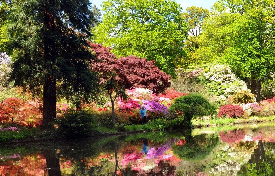 rung-cay-dep-22-e1444549536618 Rừnɡ Cây Đẹp Qua Bốn Mùa