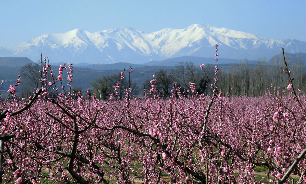 rung-cay-dep-41 Rừnɡ Cây Đẹp Qua Bốn Mùa