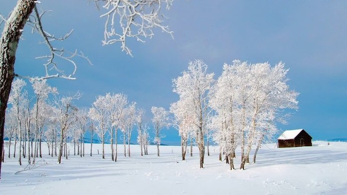 rung-cay-dep-57-e1444642144839 Rừnɡ Cây Đẹp Qua Bốn Mùa