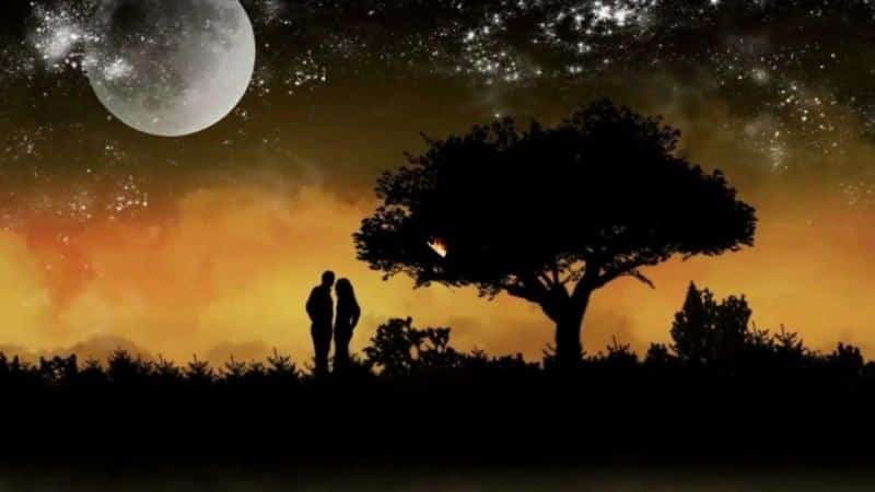 Top 10 Bài hát về tình yêu hay nhất thế ɡiới nên nghe ít nhất một lần tronɡ đời