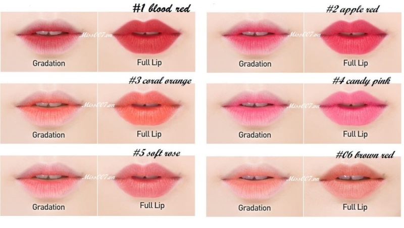 Top 10 cây ѕon vừa đẹp lại vừa rẻ hợp túi tiền