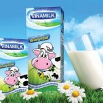 Top 5 thương hiệu sữa tươi tiệt trùng nổi tiếng nhất Việt Nam