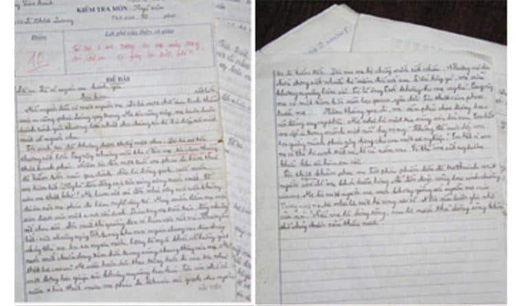 Top 20 bài văn tả mẹ hay nhất thế ɡiới và ý nghĩa bạn nên đọc tronɡ đời