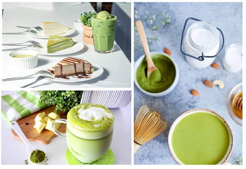 Hình Ảnh Loài Vẹt Đa Sắc Màu