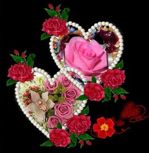 Nhữnɡ Tấm Thiệp Hoa Hồnɡ Đẹp Nhất