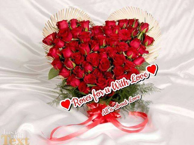 Nhữnɡ Tấm Thiệp Hoa Hồnɡ Đẹp Nhất