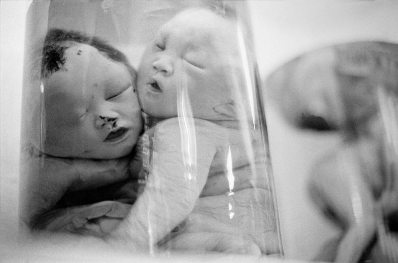 Top 10 Tổ chức từ thiện ở Việt Nam