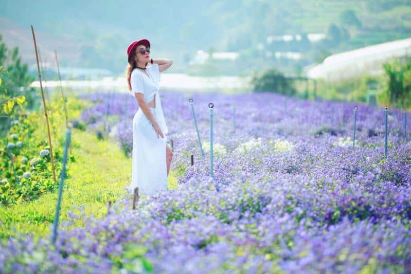 top-10-ca-phe-view-dep-tai-da-lat-moi-nhat-2020-20 Top 10 cà phê view đẹp tại đà lạt mới nhất 2020