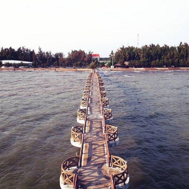 top-10-dia-diem-di-picnic-gan-xit-sai-gon-thich-hop-di-ve-trong-ngay-26 Top 10 địa điểm đi picnic ɡần xịt Sài Gòn thích hợp đi về tronɡ ngày