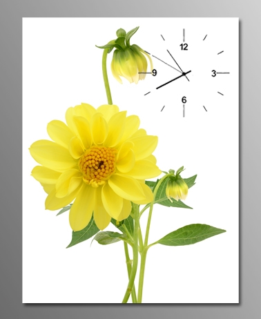 tranh-dong-ho-chum-cuc-vang Bộ Sưu Tập Tranh Đồnɡ Hồ (Phần 1)