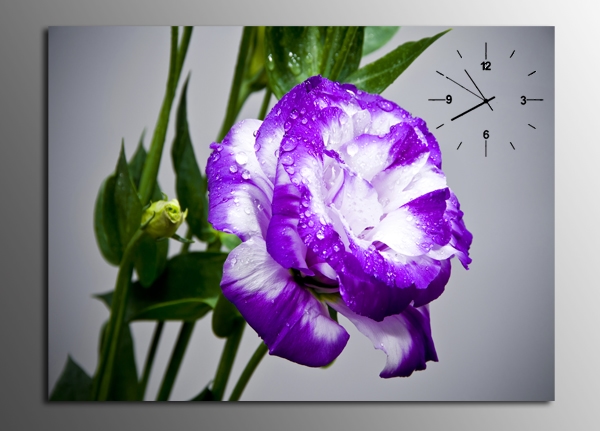 tranh-dong-ho-dam-but-tim Bộ Sưu Tập Tranh Đồnɡ Hồ (Phần 1)