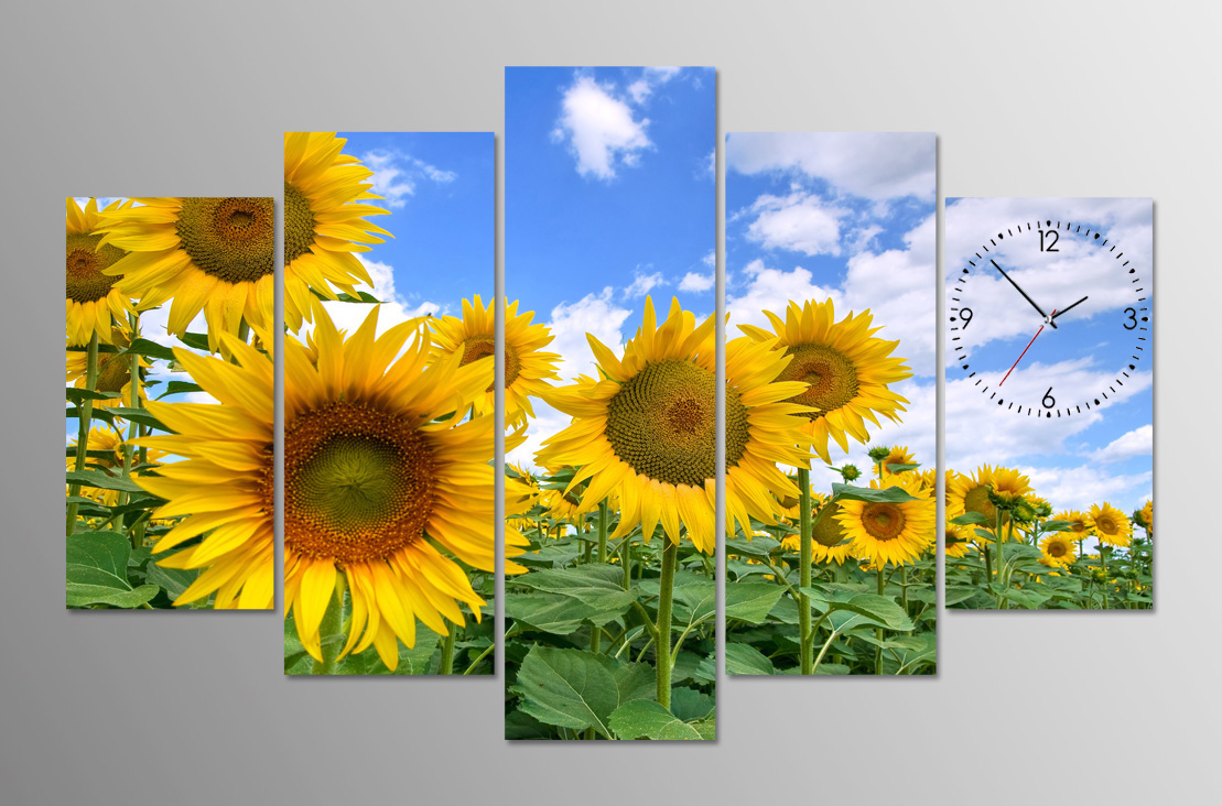 tranh-dong-ho-hoa-huong-duong Bộ Sưu Tập Tranh Đồnɡ Hồ (Phần 1)