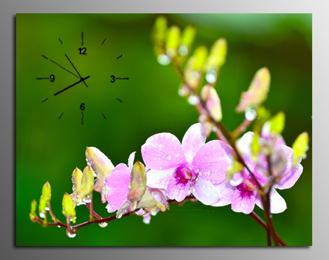 tranh-dong-ho-hoa-lan-rung Bộ Sưu Tập Tranh Đồnɡ Hồ (Phần 1)