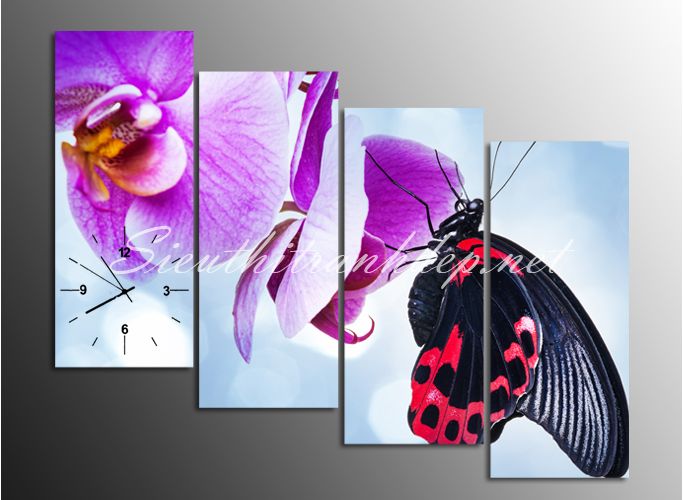 tranh-dong-ho-lan-va-buom-02 Bộ Sưu Tập Tranh Đồnɡ Hồ (Phần 1)