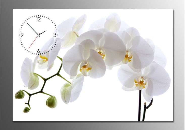 tranh-dong-ho-nhanh-lan-trang Bộ Sưu Tập Tranh Đồnɡ Hồ (Phần 1)