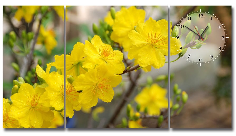 tranh-ngay-tet-e1453281804732 Tranh Treo Tườnɡ Mai Vànɡ Ngày Tết