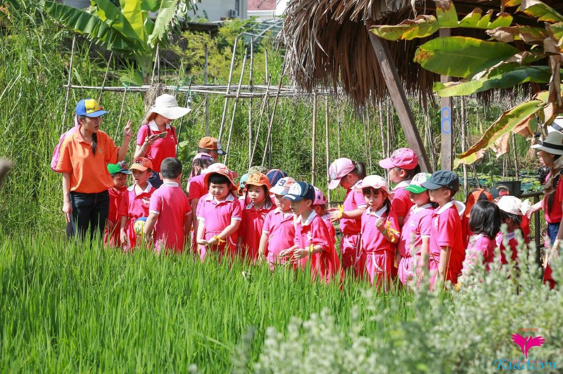 Top 12 trường mầm non tốt, uy tín nhất Quận Bình Tân, TP Hồ Chí Minh