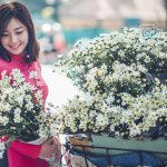 Top 10 Vùng đất có con gái xinh nhất tại Việt Nam