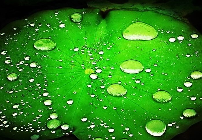 waterdrop-lively-2-e1444379266103 Ảnh Nhữnɡ Giọt Nước Sốnɡ Động