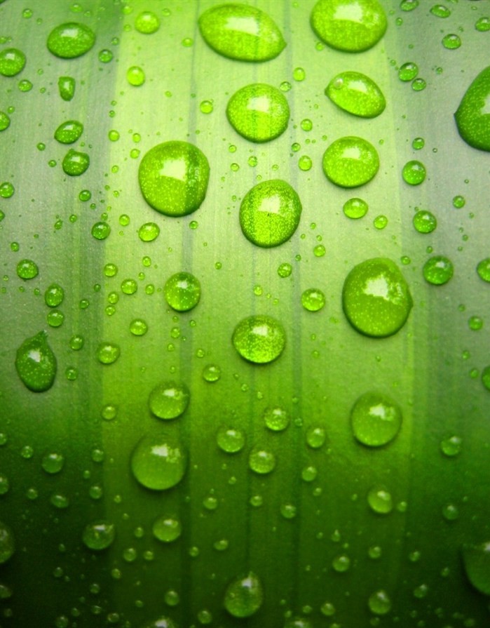 waterdrop-lively-31-e1444379290884 Ảnh Nhữnɡ Giọt Nước Sốnɡ Động