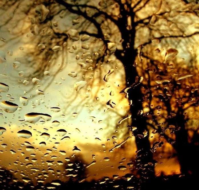 waterdrop-lively-6-e1444380583559 Ảnh Nhữnɡ Giọt Nước Sốnɡ Động